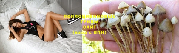 метадон Богородск
