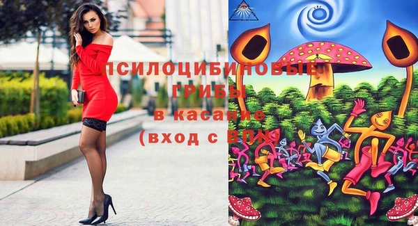 метадон Богородск