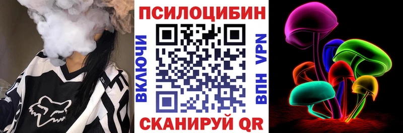 Псилоцибиновые грибы Psilocybe  Купить  Новоузенск 